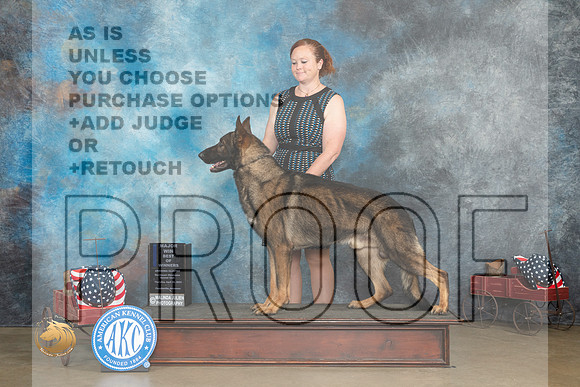 German Shepherd Dog #17 Thur BOWM Judge  Edweena (Teddy) McDowell_MJ_5618_ARK2023_HR3