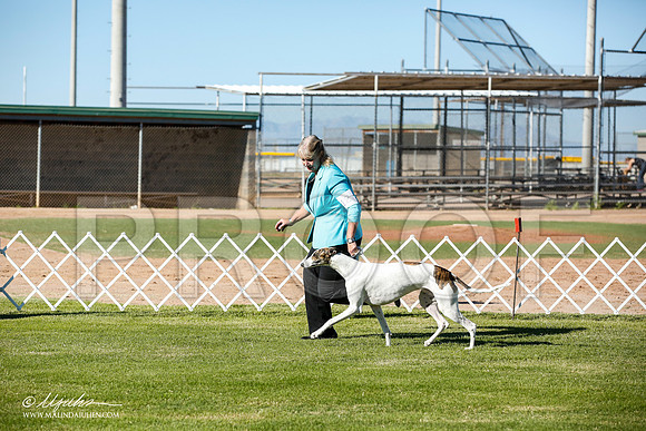 _JN_5644-AlamogordoOct2014-HR3