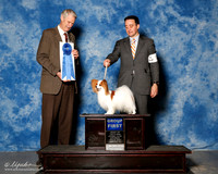 Papillon #7 Sat G1 Mosing Madeline and Breeders Agent Brian Livingston Judge Jon Cole