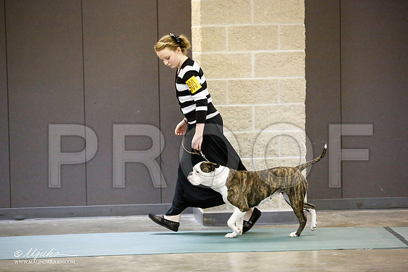 _JN_3926-BeltonJan2015-HR3