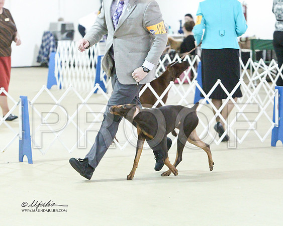 Dobe-0488