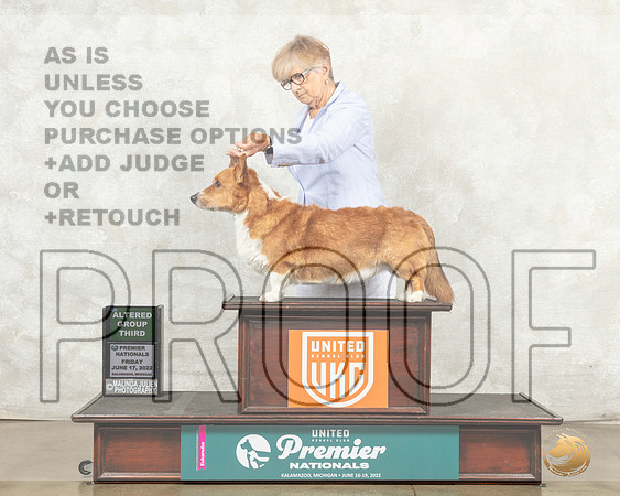 Cardigan Welsh Corgi #369 Fri AG3 Judge Mary Ellen Meyers__MJ_8198_Premier_2022_HR3