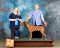 Cheryl Etheridge UKC Longview May 2023