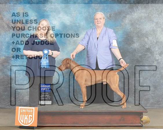 Vizsla #19 Sat G1Judge Malinda Julien  r-MJP_2353e_UKCLNGVWMAY 2023-HR3