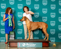Dawn Gibas  Premier 2023