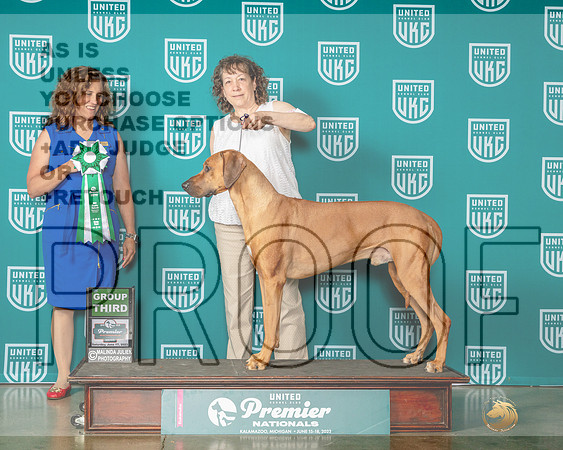 Rhodesian Ridgeback #1052 Sat G3 Judge Tricia Till-MJP_5310-Premier2023-HR3