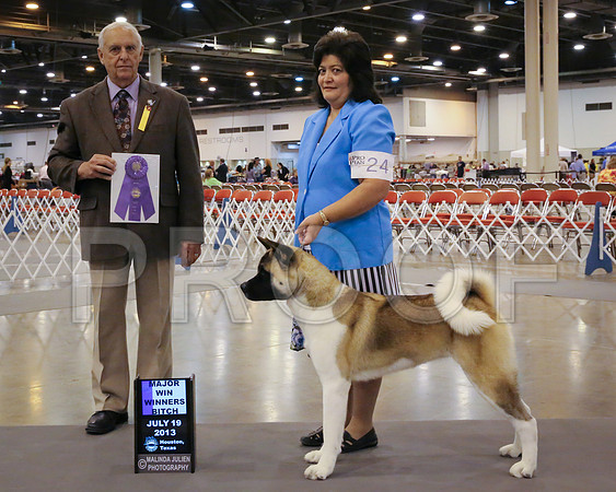 akita-4526-HstnJ13HR