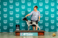 German Shorthaired Pointer #471 Sat TDG3 Judge Ron Horn