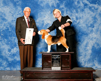 Beagle 15in #7 Sat G4 Ayala Brooke N Rudy and ann and David Wolf Judge Charles Trotter
