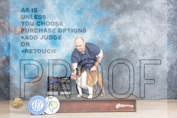 Bulldog #5 Sun BOSBOW Judge Ronald HornMJP_1289_Abilene_2023_HR3