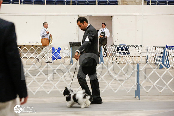 _CK_8836-AblnMay2014-web