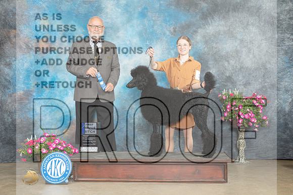 Poodle Std #12 Sat NovB1st Judge Gary Andersen_MJ_6711e_ARK2023_HR3
