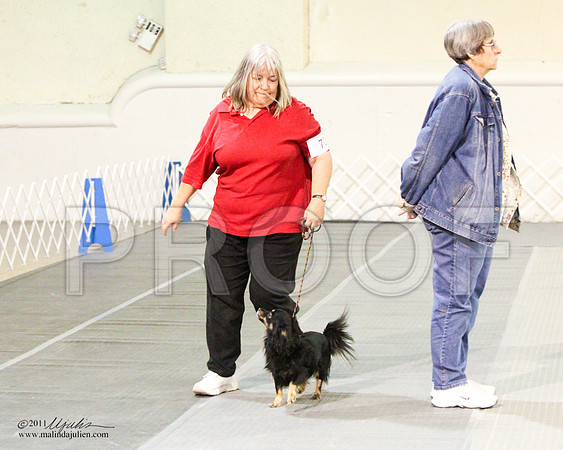 Beg Nov B Sat-8126