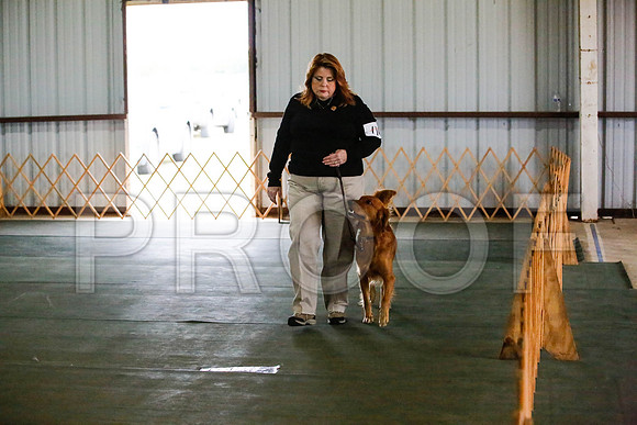 _CA_0656-DFWLabNov2015-©JulienLambertphoto.com-HR3