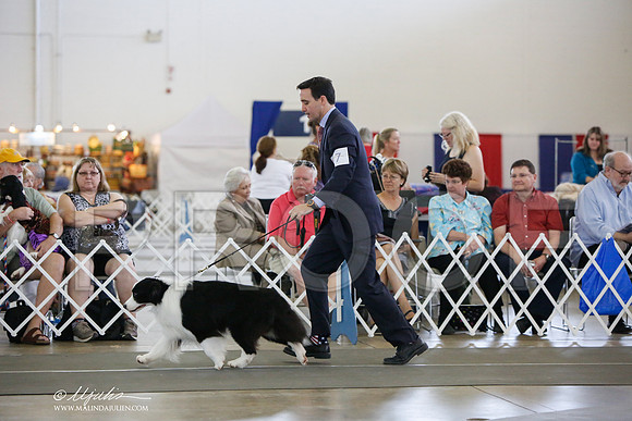 _JJ_2996-DallasJul2014-HR3