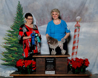 Poodle Toy Sat S1 G1 Ellane Garrett Judge Linda Hughes