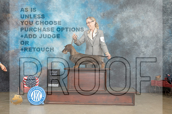 Dachshund Wirehaired #18 Fri G3 Judge Pat Trotter_MJ_6292_ARK2023_HR3