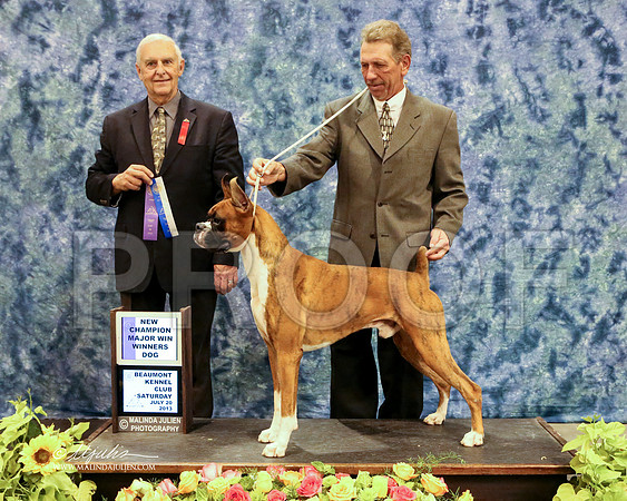 boxer-5703-HR HstnJul13