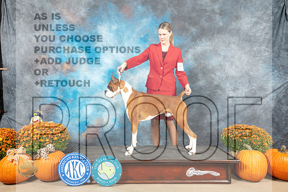 Boxer #9 Sat_MJ_5545_Belton_2022_HR3