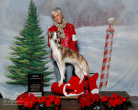 Silken Windhound #? Sat S1 NC Susan Brasel