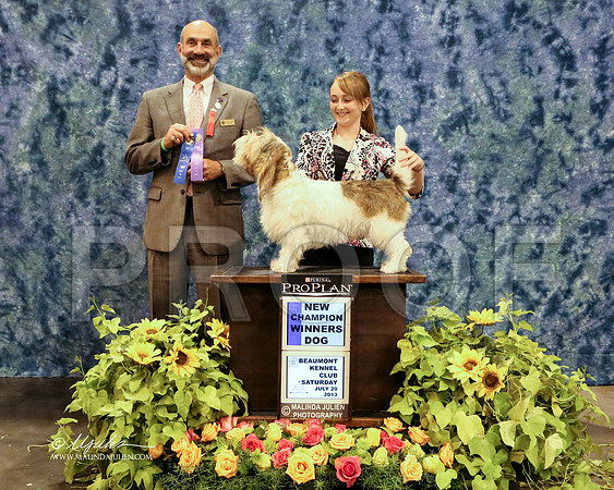 PBGV-5842-HR HstnJul13