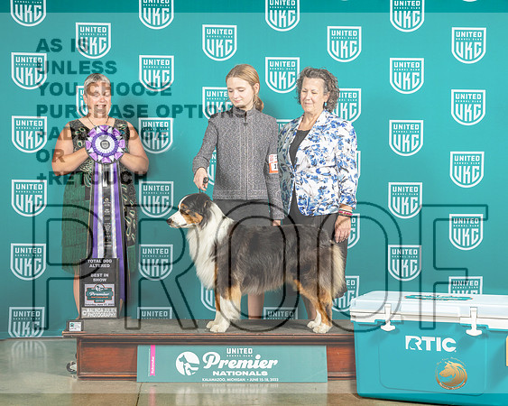 Australian Shepherd #163 Sat ATDBIS Judge Renee Strong-MJP_6010e-Premier2023-HR3