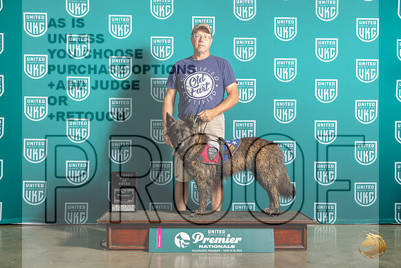 Dutch Shepherd #343 Sat BOBA Judge Pat O'DonnellMJP_6017_Premier2023_HR3