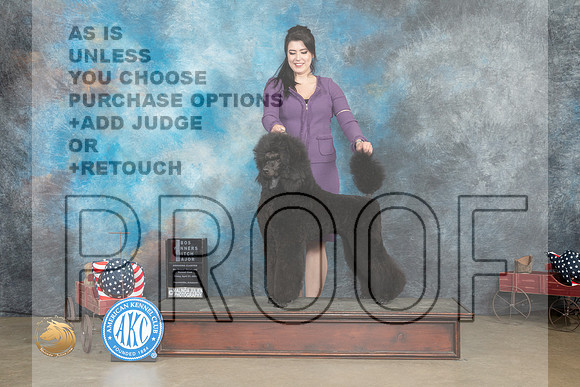 Poodle Std #8 Fri WBBOS Judge Pat Trotter_MJ_6028_ARK2023_HR3