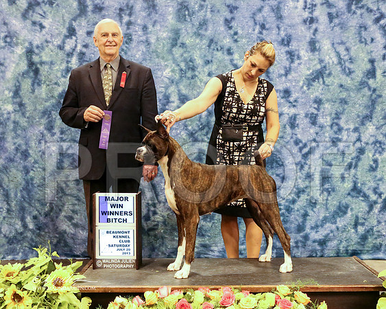 boxer-5765-HR HstnJul13