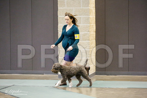 _RH_9244-BeltonJan2015-HR3