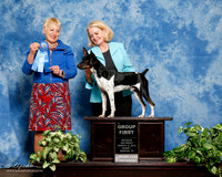 Rat Terrier #123 Sat S1 G1 Townson Jude Lew Olson
