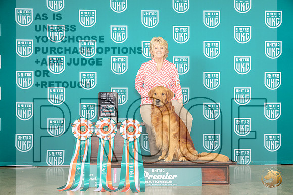 Golden Retriever #260 Thur All StarMJP_4100_Premier2023_HR3