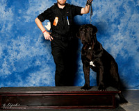 Neapolitan Mastiff #? Sun Custom Shanna Bowen