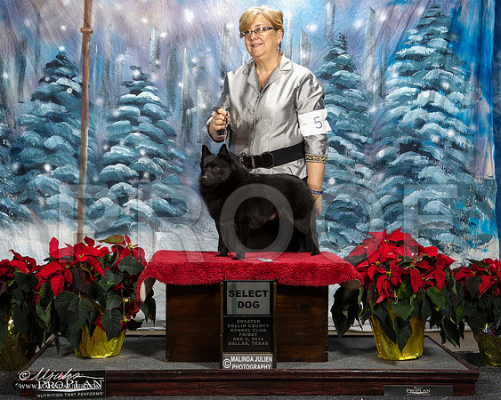 _ST_8484-DallasDec2014-HR3