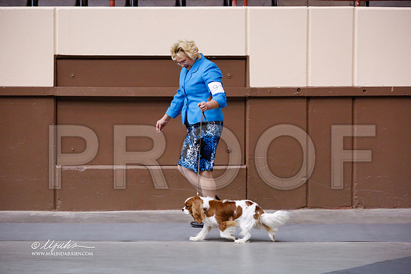 Cav-9584-SANov13-HR