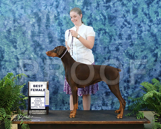 Dobe-9846-HuttoJul13