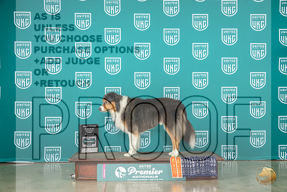 English Shepherd #681 Fri NTMJP_5104_Premier2023_HR3