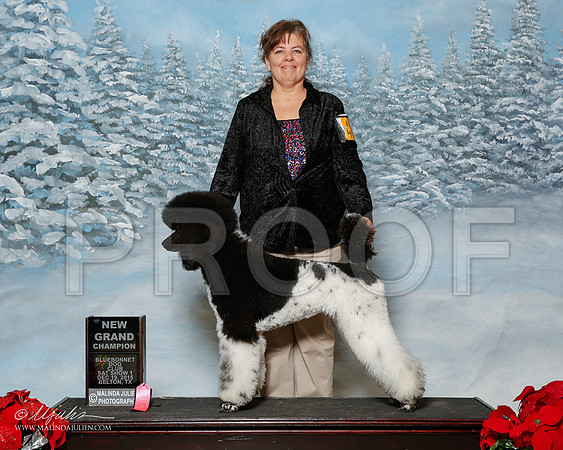 _R2_2704-2-BltnDec2015-HR3