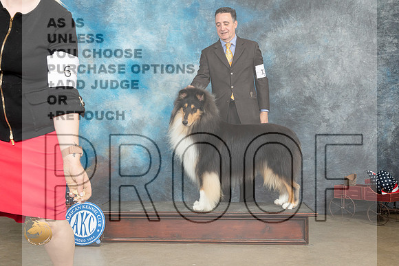 Collie Rough Fri _MJ_6076_ARK2023_HR3