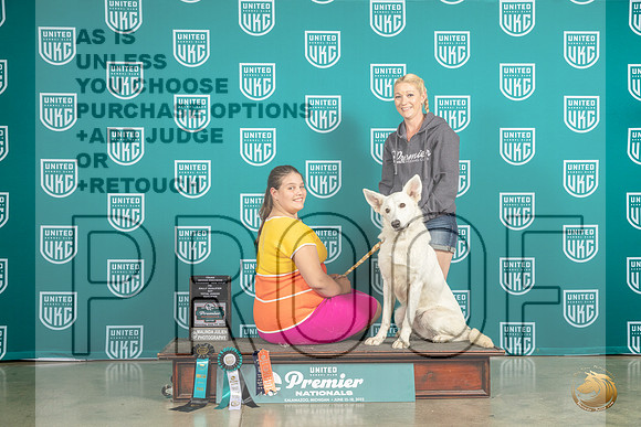 Swiss Shepherd #439 Fri Thur Total Jr Q etcMJP_5568_Premier2023_HR3