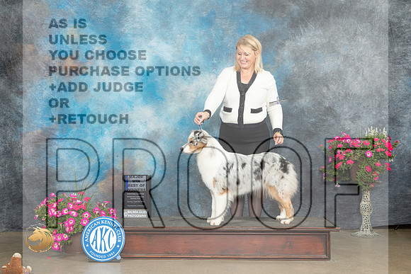Australian Shepherd #10 Thur WBBOW Judge Edweena (Teddy) McDowell_MJ_7098_ARK2023_HR3