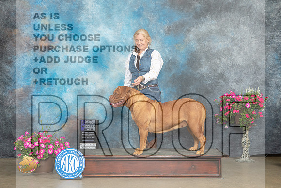 Dogue de Bordeaux #12 Sun WBCH Judge Gary Andersen_MJ_7033_ARK2023_HR3