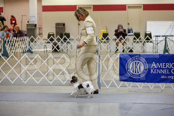 _JJ_1112-AmarilloSept2014-HR3