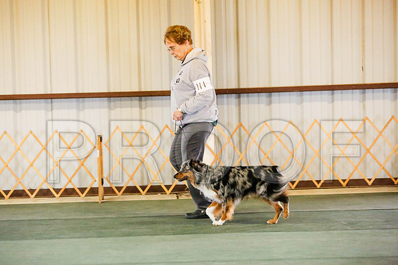 _CA_0581-DFWLabNov2015-©JulienLambertphoto.com-HR3