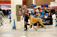 Working Group Owner Handled Sat Ring