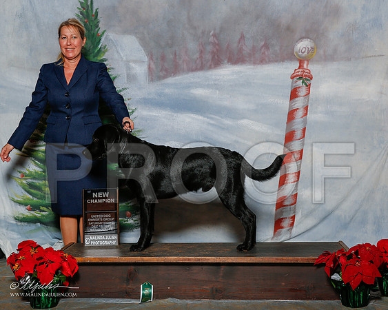 _R2_1829-2-MrshlDec2015-HR3
