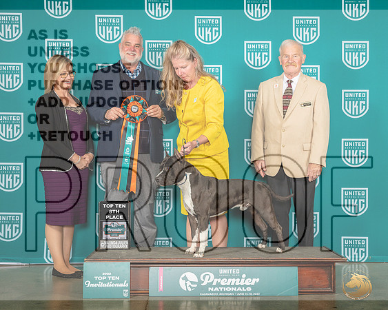 American Pit Bull Terrier #316 Thur Top108th MJP_4321e_Premier2023_HR3