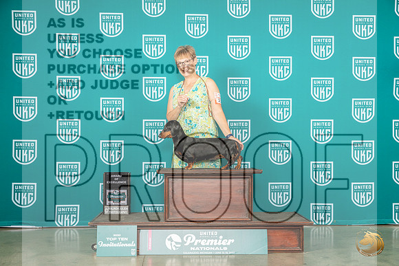 Dachshund #236 AOE Judge Donna BeadleMJP_3843_Premier2023_HR3