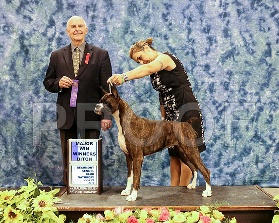 boxer-5753-HR HstnJul13