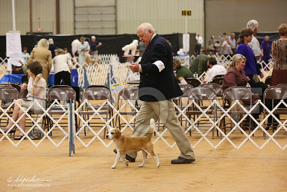 Beag-2812-Tex2013 HR3